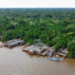 Ilha do Combu ganha casas sustentáveis feitas de caroço de açaí