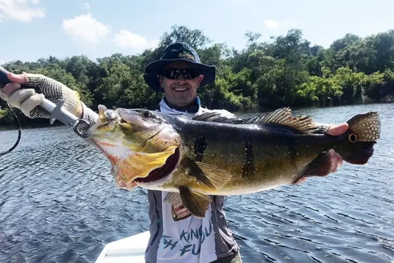 Foto: ASCOM _ IDEFLOR