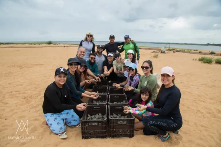 Pará á destaque em seis finalistas no Prêmio Braztoa 2025