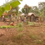 CineClubeMIS exibe hoje documentários de Frédéric Létang Agência Pará