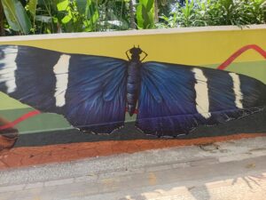 Divulgação - Foto: Cristiano Bordallo