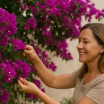 Bougainville explode em floração quando moradores usam esses 7 truques que cobrem muros e pérgolas em tempo recorde Bougainville explode em floração quando moradores usam esses 7 truques que cobrem muros e pérgolas em tempo recorde