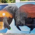 Muros do Museu Goeldi viram galeria de arte urbana e celebram Amazônia Divulgação - Foto: Cristiano Bordallo