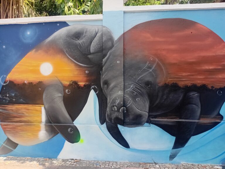 Divulgação - Foto: Cristiano Bordallo