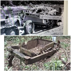 Divulgação - Ag. Pará