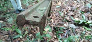 Divulgação - Ag. Pará