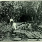 Trilhos ocultos revelam a modernização esquecida no Parque do Utinga Divulgação - Ag. Pará