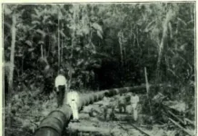 Trilhos ocultos revelam a modernização esquecida no Parque do Utinga Divulgação - Ag. Pará