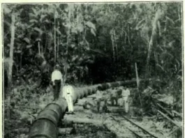 Trilhos ocultos revelam a modernização esquecida no Parque do Utinga Divulgação - Ag. Pará