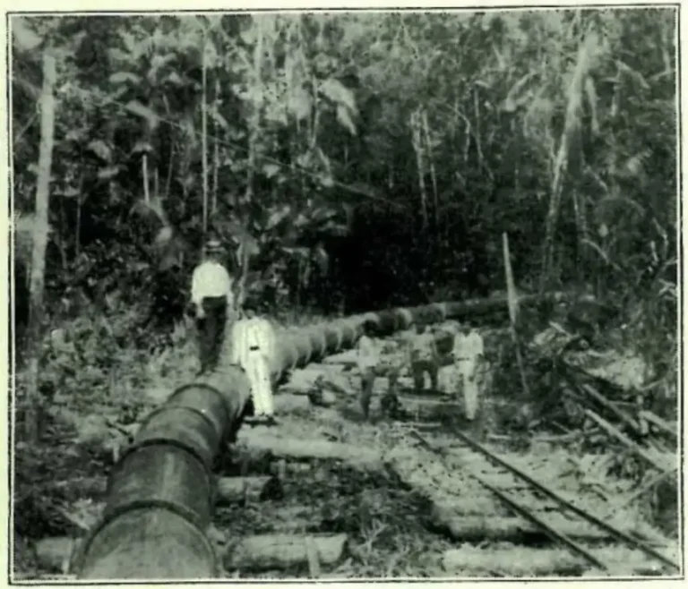 Divulgação - Ag. Pará