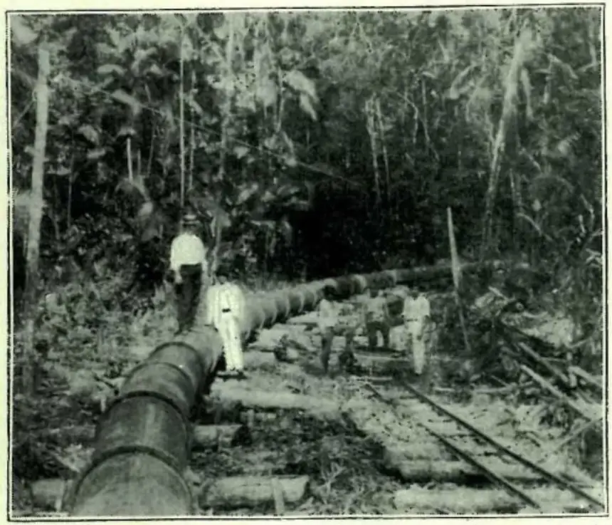 Divulgação - Ag. Pará