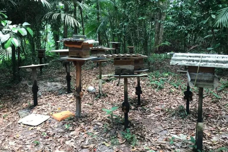 Foto: Mateus Costa/Sedap