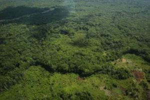 Rodrigo Pinheiro/ Ag. Pará