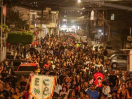 Guamá celebra a ancestralidade e a resistência popular com o VII Cortejo Visagento Reprodução