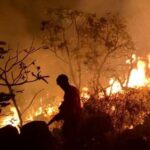 Pará alcança redução histórica de queimadas e consolida nova estratégia de gestão ambiental Rodrigo Pinheiro/ Ag. Pará