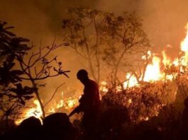 Pará alcança redução histórica de queimadas e consolida nova estratégia de gestão ambiental Rodrigo Pinheiro/ Ag. Pará
