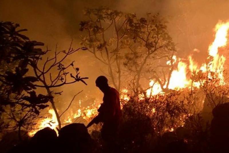 Rodrigo Pinheiro/ Ag. Pará