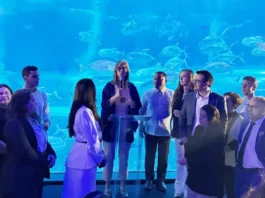 Pará assume protagonismo na agenda oceano-clima em evento nacional Divulgação - Ag. Pará