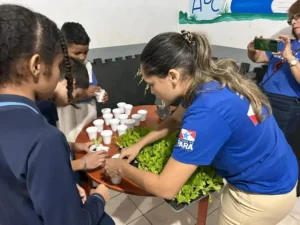 Foto: Divulgação - Ag. Pará