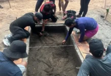 Pesquisa conecta ciência e saber indígena na Amazônia Foto: Divulgação - Ag. Pará