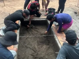 Pesquisa conecta ciência e saber indígena na Amazônia Foto: Divulgação - Ag. Pará