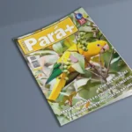 Edição de Novembro 284 – Pará na COP das Soluções Uma Nova Economia Verde Inspirada pela Amazônia Pará+284 Novembro