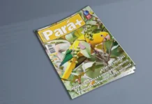 Edição de Novembro 284 – Pará na COP das Soluções Uma Nova Economia Verde Inspirada pela Amazônia Pará+284 Novembro