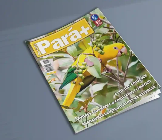 Edição de Novembro 284 – Pará na COP das Soluções Uma Nova Economia Verde Inspirada pela Amazônia Pará+284 Novembro