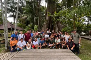 Foto: Divulgação - Ag. Pará