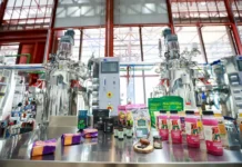 Amazônia em evidência: Parque de Bioeconomia une floresta, inovação e futuro Foto: Marcelo Lelis / Ag. Pará