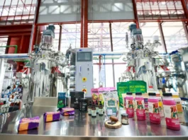 Amazônia em evidência: Parque de Bioeconomia une floresta, inovação e futuro Foto: Marcelo Lelis / Ag. Pará