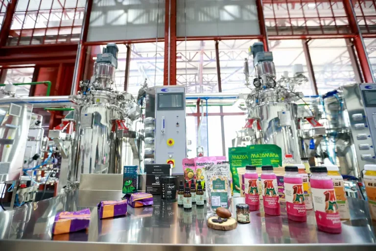 Foto: Marcelo Lelis / Ag. Pará