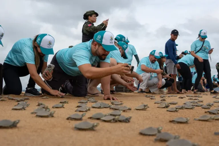 Foto: Helder Lana - Norte Energia