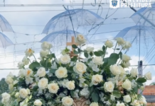 Círio de Nossa Senhora da Conceição emociona fiéis em Benfica neste 8 de dezembro; tradição centenária segue fortalecendo a fé e a identidade de Benevides