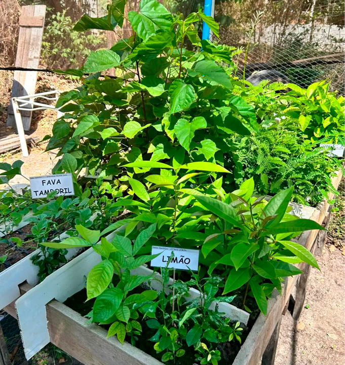 As horas têm variedade e contribuem para a conservação da natureza