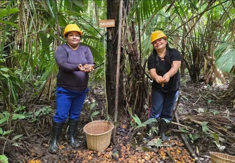 Mulheres lideram revolução da bioeconomia amazônica
