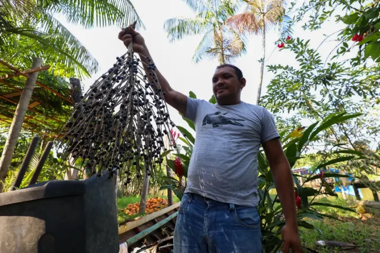 Foto: Pedro Guerreiro/ Ag. Pará