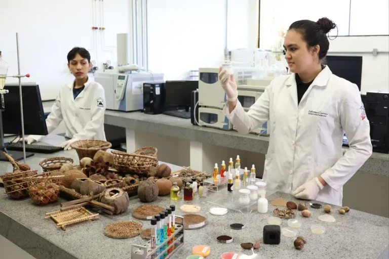 Loa, Laboratório de óleos da Amazônia. Residente do PCT Guamá