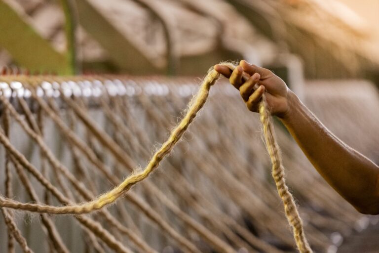 Fotos: Bruno Carachesti