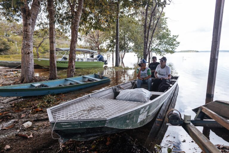 Tecnologia da embrapii transforma extrativismo predatório em bioeconomia sustentável