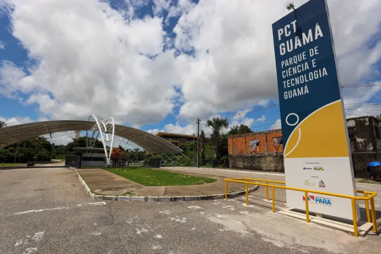 Arte e tecnologia se fundem para celebrar 15 anos do PCT Guamá