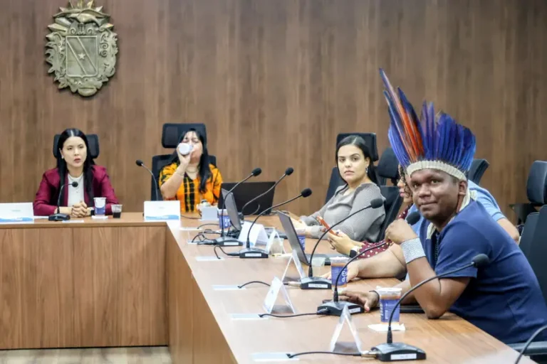 Governança participativa e soberania indígena no mercado de carbono jurisdicional