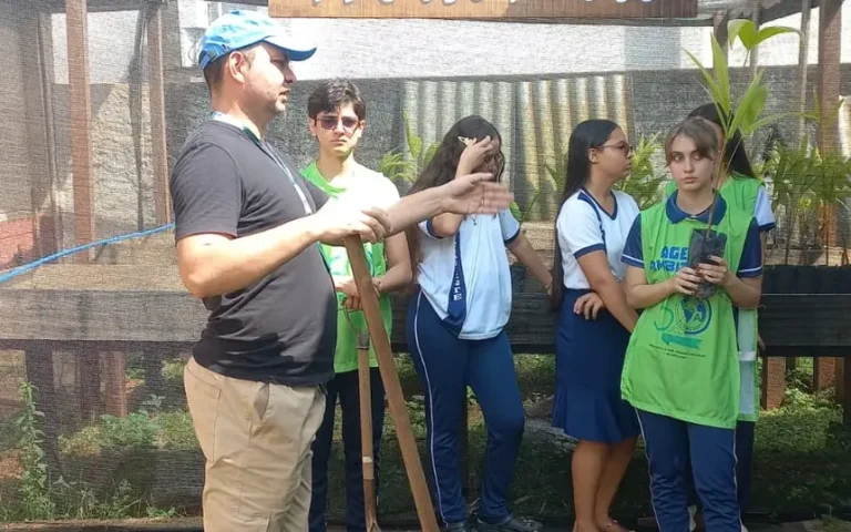 Alunos de Altamira plantam o futuro com mudas de açaí