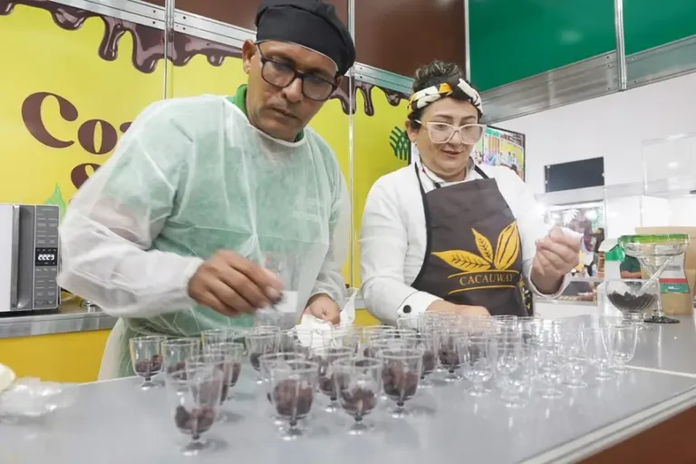 Festival do Chocolate em Altamira agita o final de semana