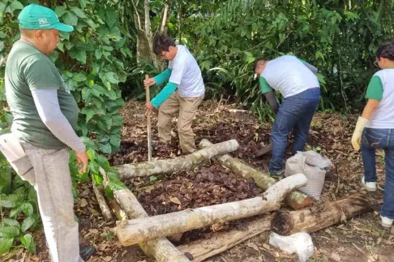Iniciativa inovadora do governo transforma restos de comida em adubo e vira sucesso de educação ambiental no Pará.