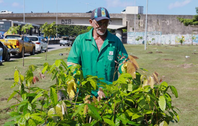 Belém atinge a marca de 20 mil mudas plantadas somente neste semestre