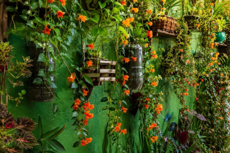 Columéia peixinho em paredes: como montar um jardim vertical