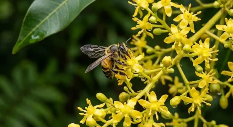 Abelha sem ferrão da Amazônia salva as florestas do desmatamento