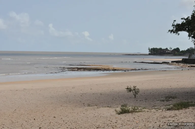 Todas as praias de Belém estão próprias para banho pela primeira vez em 25 anos