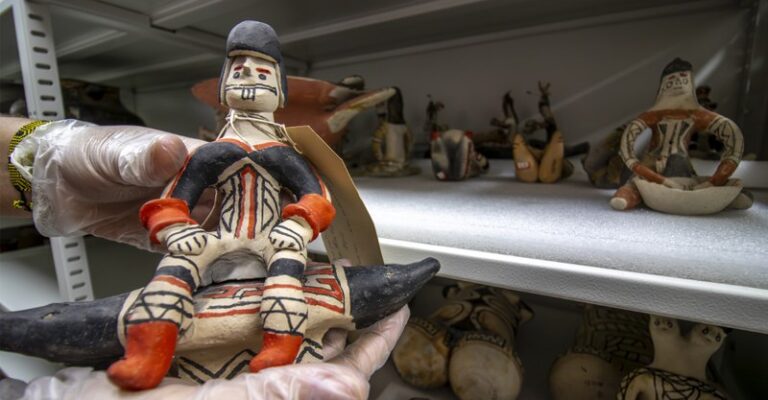 Mestrado em Diversidade do Museu Goeldi: vagas e cotas até 1º de setembro